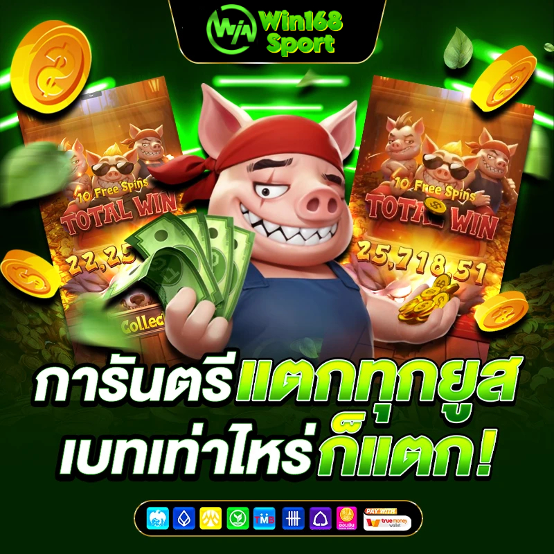ดูเพิ่มเติม
